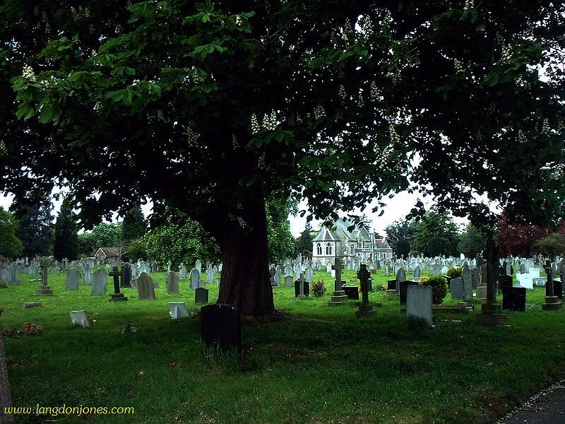 Chapel behind tree in Streatham graveyard